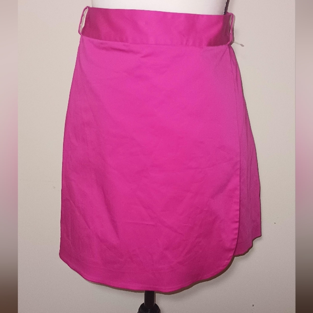 New Banana Republic Designer Skirt (18/20)
